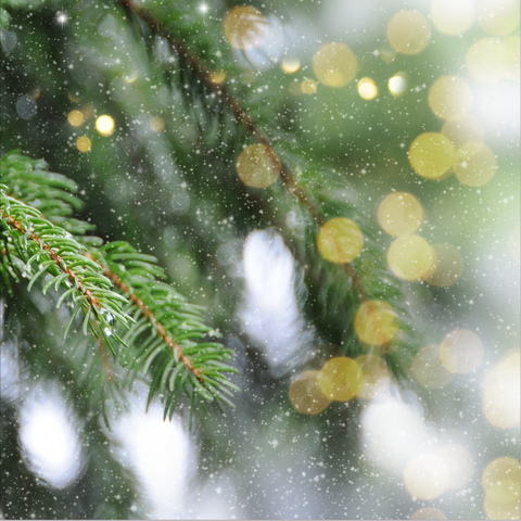 Green Tree Lights
