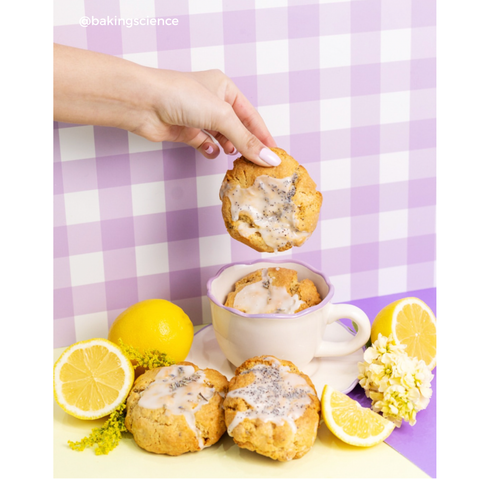 Picnic Lila