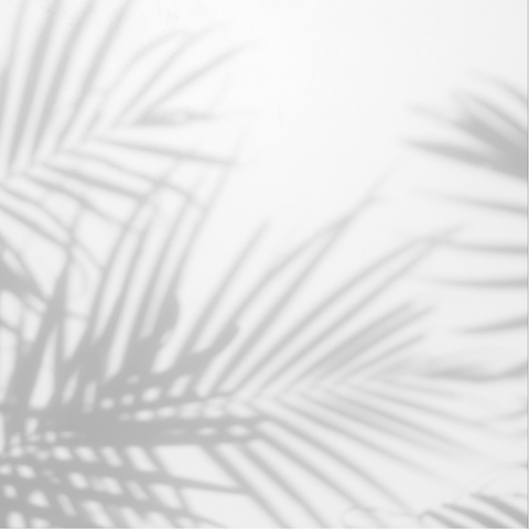 Palmas