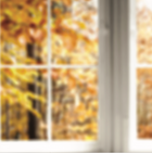 Ventana Otoño