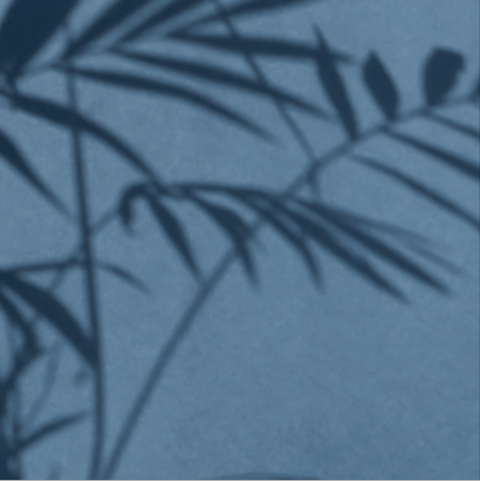 Palma Azul