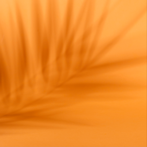 Palma Naranja