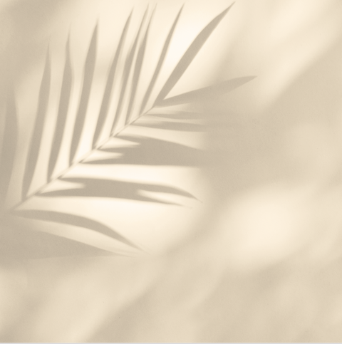 Palmera Beige