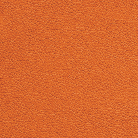 Orange Leather