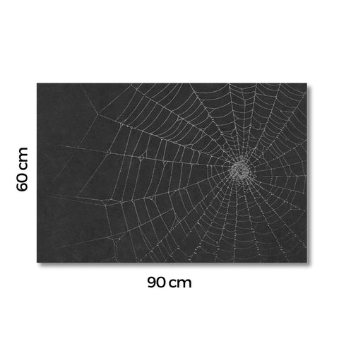 Spiderweb