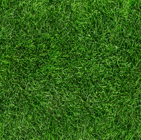 Green Grass