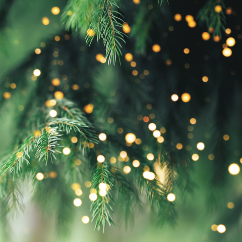 Tree Lights