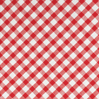 Picnic Rojo