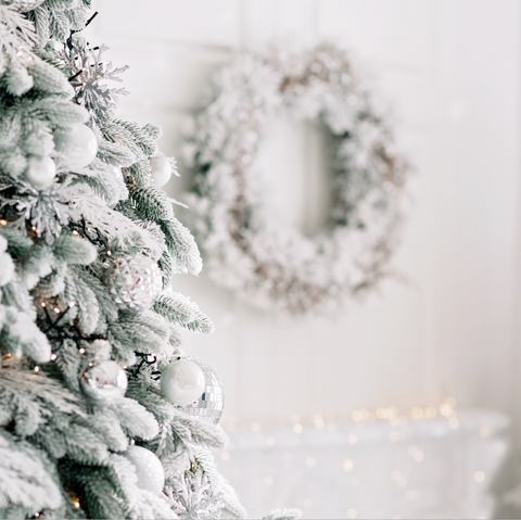 Blanca Navidad
