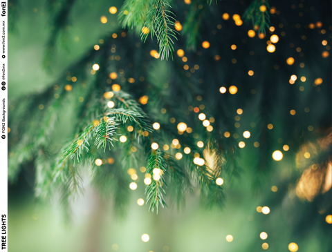 Tree Lights Flex