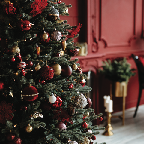 Navidad