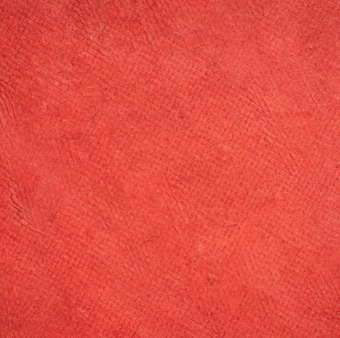 Papel maché coral