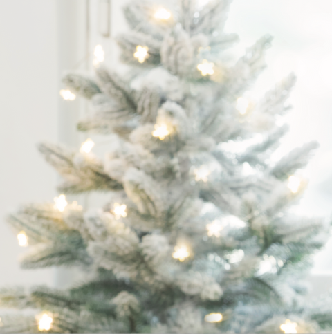 White Xmas Tree