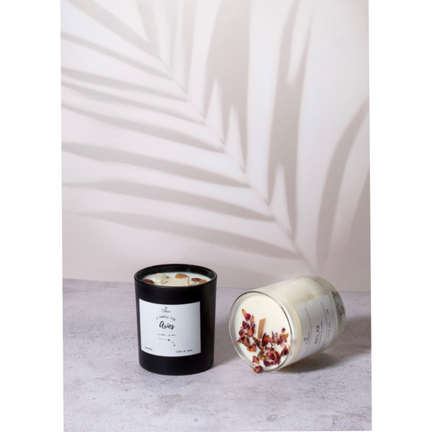 Palmera Beige
