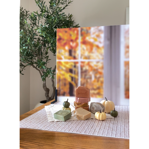Ventana Otoño