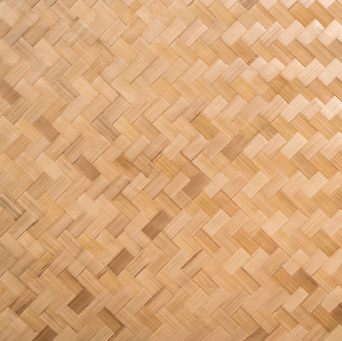 Bamboo
