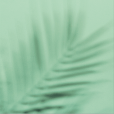 Palma Verde