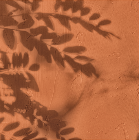 Flores Ocre