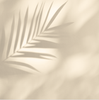 Palmera Beige